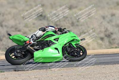 media/Jan-17-2026-CVMA (Sat) [[ab348a895b]]/Race 7- Formula 40 MW and LW/